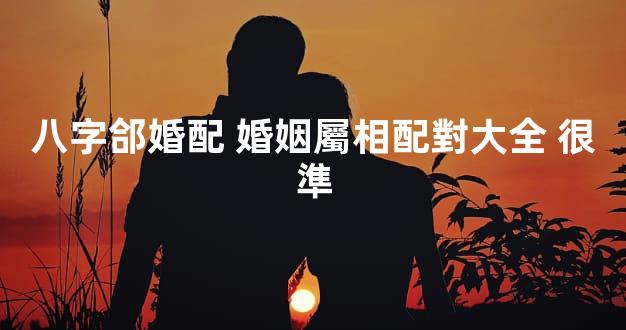 八字郃婚配 婚姻屬相配對大全 很準